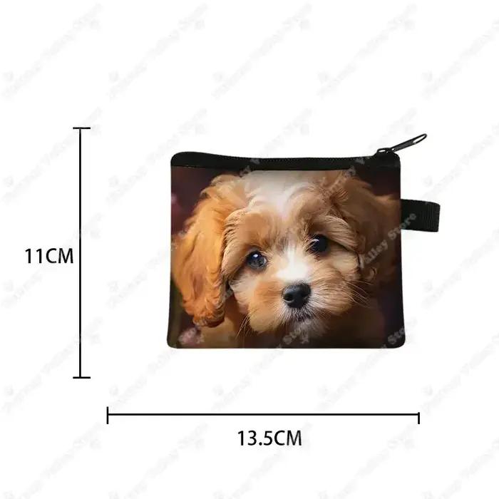 Porte-monnaie imprimé chien Cavalier King Charles Spaniel pour femme, porte-cartes, porte-écouteurs, sac à monnaie, fermeture éclair, polyvalent et élégant