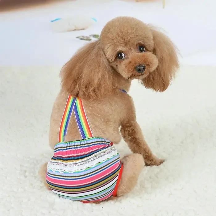 Culottes hygiéniques respirantes pour chien femelle