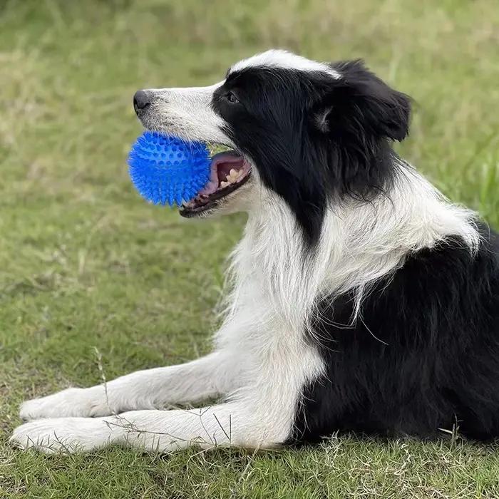 Boule à mâcher pour chien à pointes grinçantes TPR