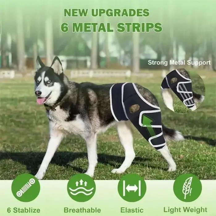 Conception respirabilité Tutamen hanche chien pour actif avec des ceintures soutien régulées Y5GB