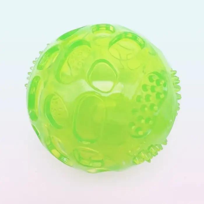 Jouets pour chiens : balles à mâcher