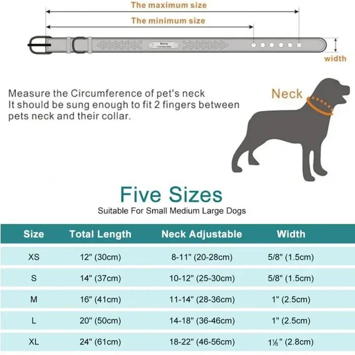 Collier de chien personnalisé avec étiquette gravée