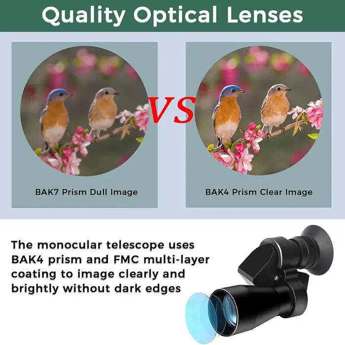 Monoculaire compact 8x20 pour adultes, portable avec adaptateur smartphone pour birdwatching et pêche