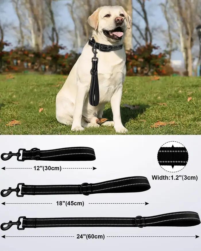 Laisse Courte Robuste pour Chien