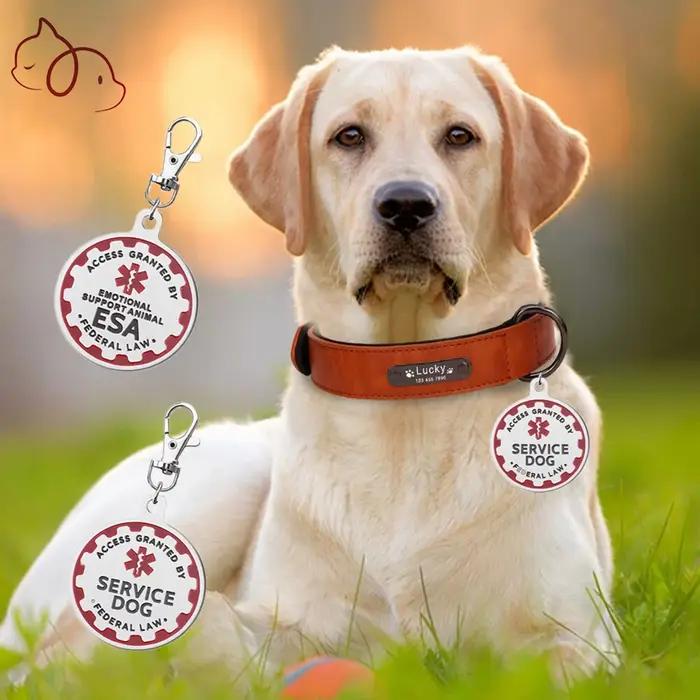 Étiquettes d'identification de chien de service pour chiens