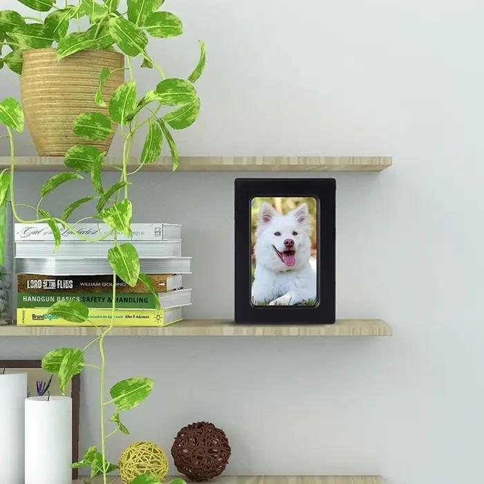 Urnes pour cendres chien