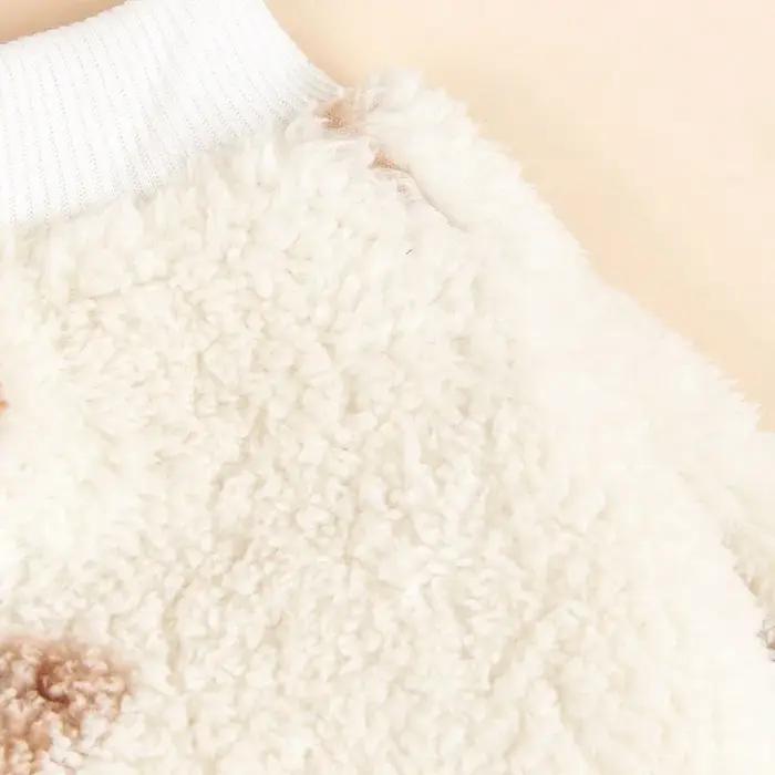 Pull d'hiver pour grand chien