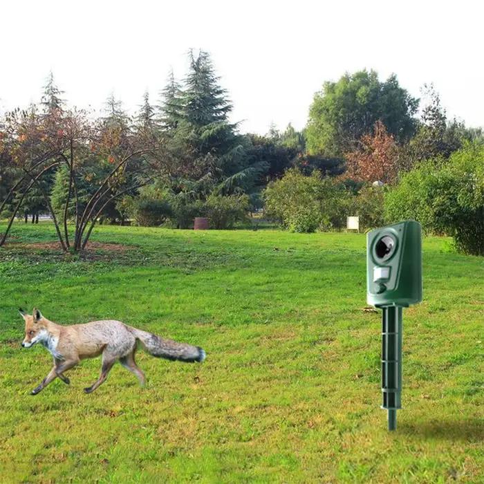 Répulsif pour chiens avec capteur de mouvement