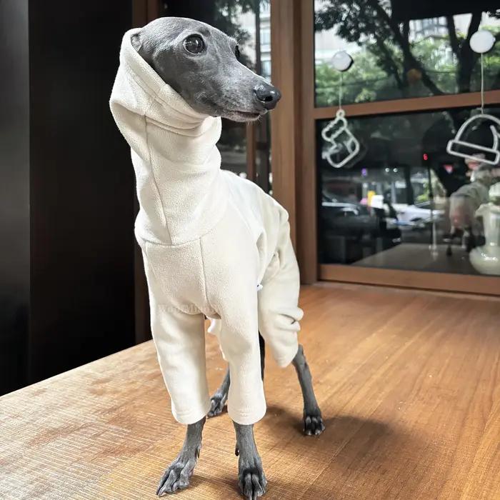 Vêtements pour chiens pour Greyho italien avec chapeau