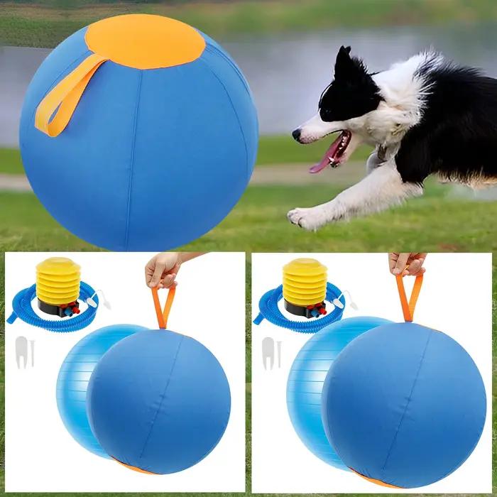 Balle gonflable d'extérieur pour chiens