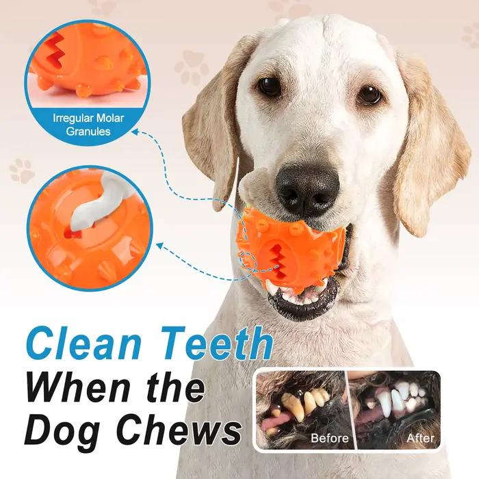 Boule de distribution interactive pour friandises à mâcher pour chien