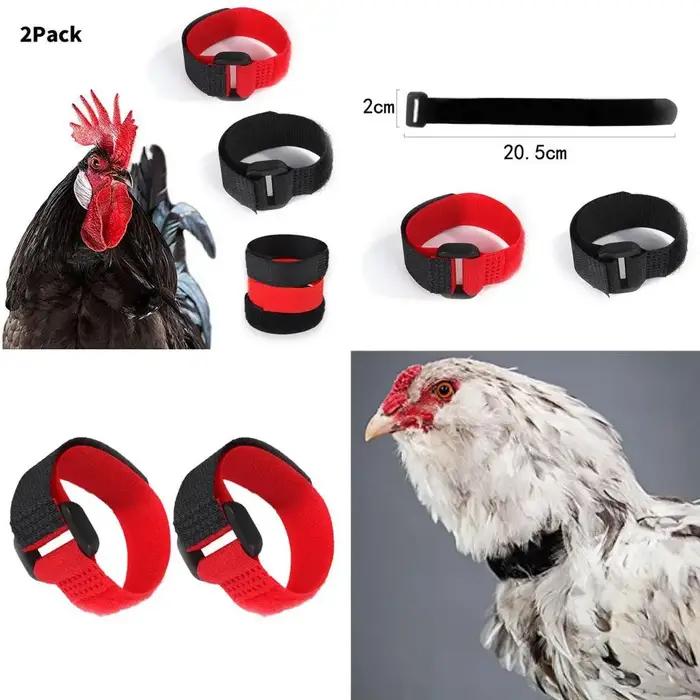 2x collier de coq Anti corbeau empêcher le poulet hurlant pour coq