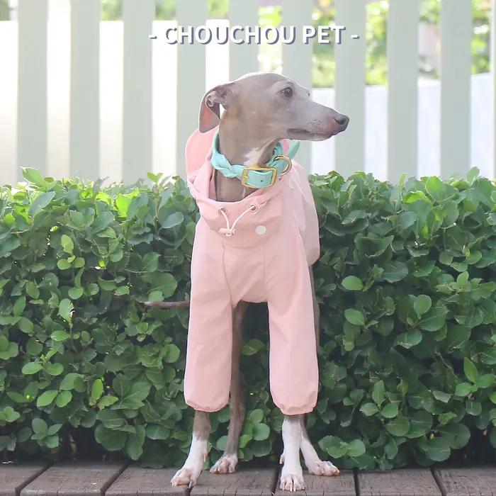 Vêtements pour animaux de compagnie Whippet lévrier italien pour l'automne protection solaire extérieure