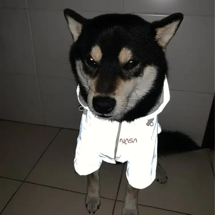 Imperméable coupe-vent et imperméable pour grand chien