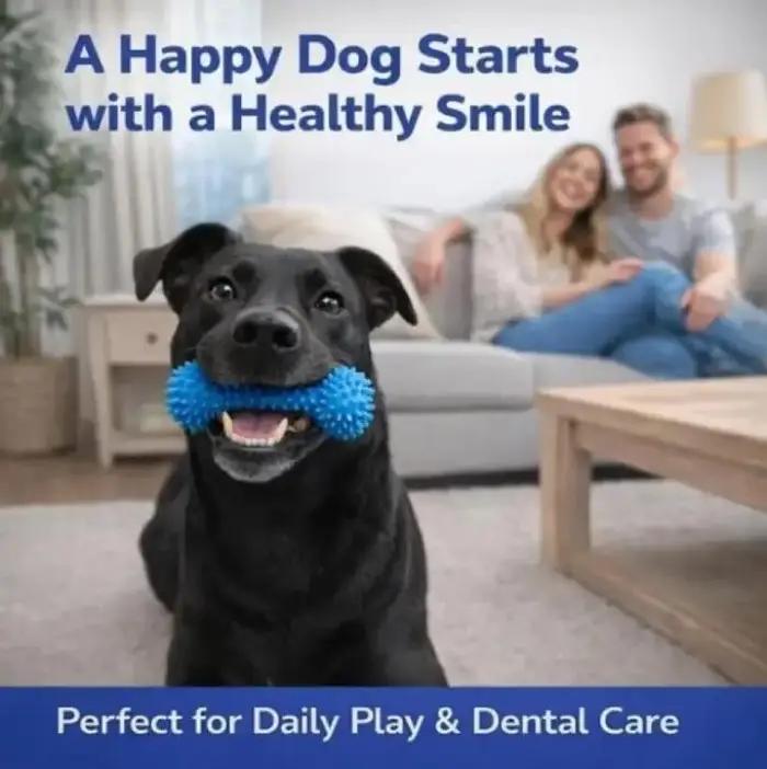 Jouet de brossage dentaire pour chien avec ventouse et corde de traction
