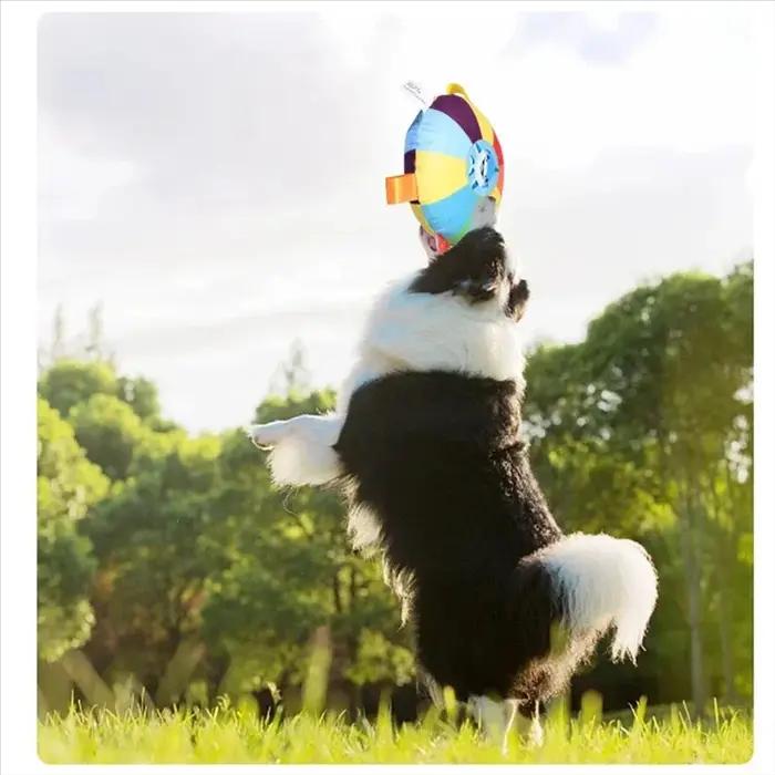 Balles interactives avec onglets d'appui pour chiens balles à mâcher accessoires pour entraînement en plein air et jeux de sport pour chiots occasions spéciales