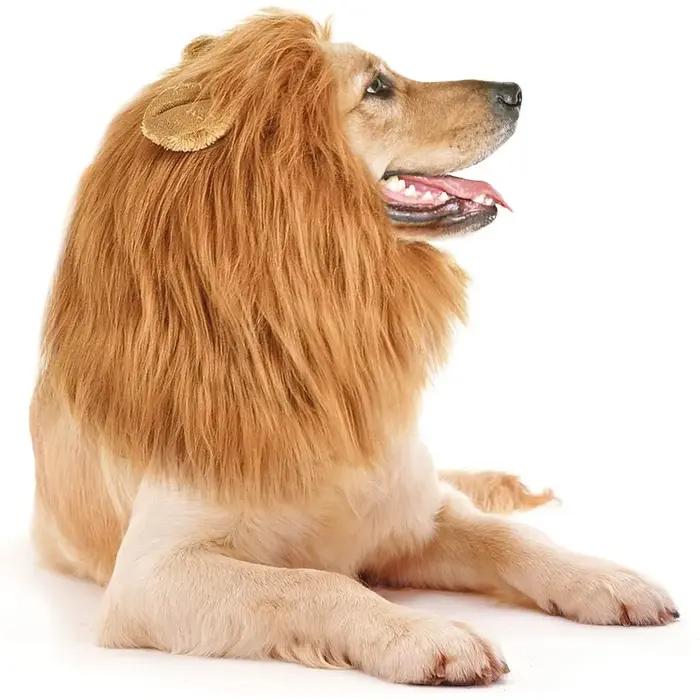 Vêtements de Cosplay pour chiens de compagnie, crinière de Lion pour Costumes de chiens, perruque de