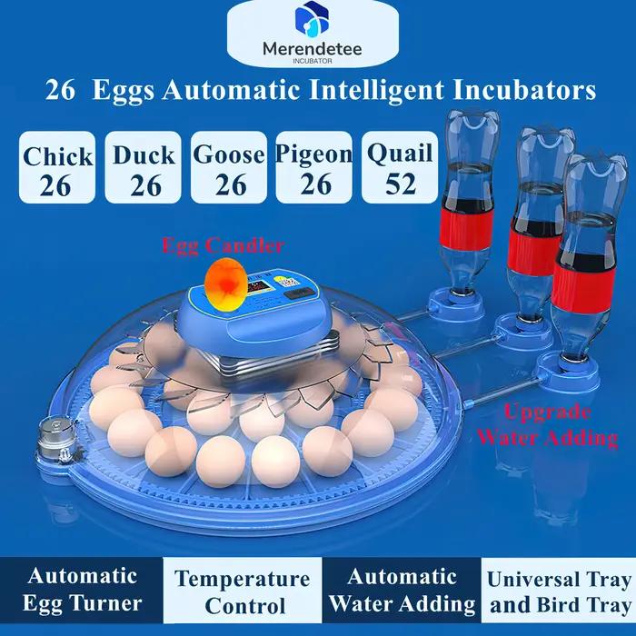 Incubateur automatique pour œufs 26 à 52 œufs, mise à niveau automatique de l'ajout d'eau, vue résis