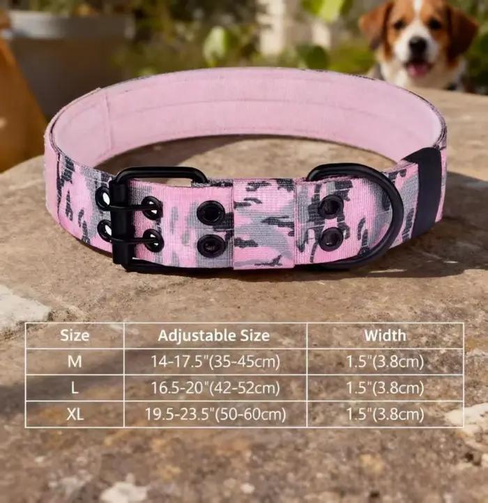 Collier tactique pour chien