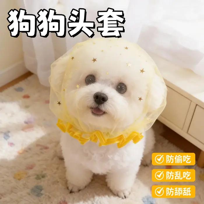 Accessoire de mode en maille pour chiens anti-mastication respirant pour promenade en extérieur