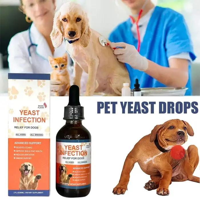 Gouttes de levure pour animaux de compagnie santé intestinale système immunitaire digestion peau et poils qualité de vie amélioration absorption nutriments usage long terme occaions spéciales