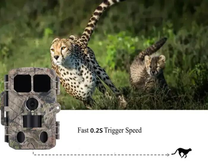 Caméra de chasse et de suivi des sentiers de la faune 4K 48MP