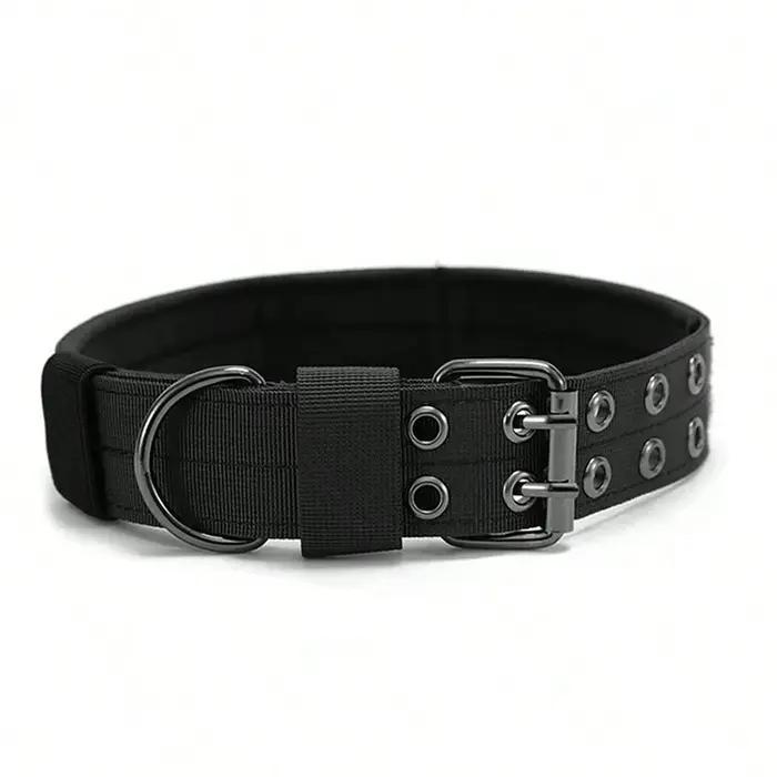 Collier tactique pour chien