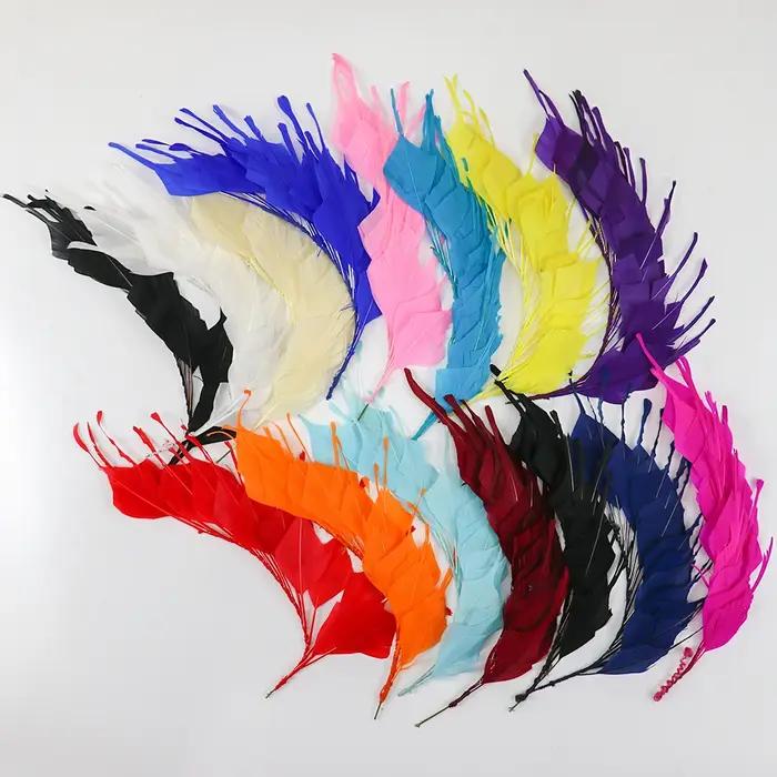 Plume d'Oie Naturelle Teinte Colorée