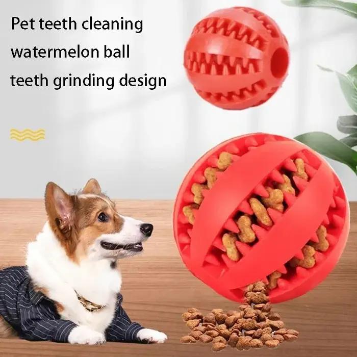 Jouets en caoutchouc naturel pour animaux de compagnie