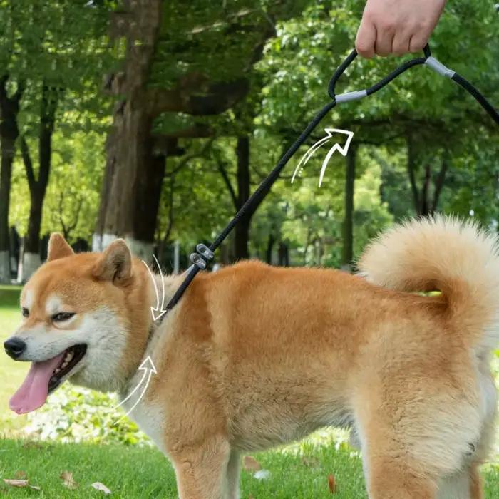 Laisse à double poignée réglable pour chien, fournitures pour animaux de compagnie, marche, chiot, P JODogs, 1.4m