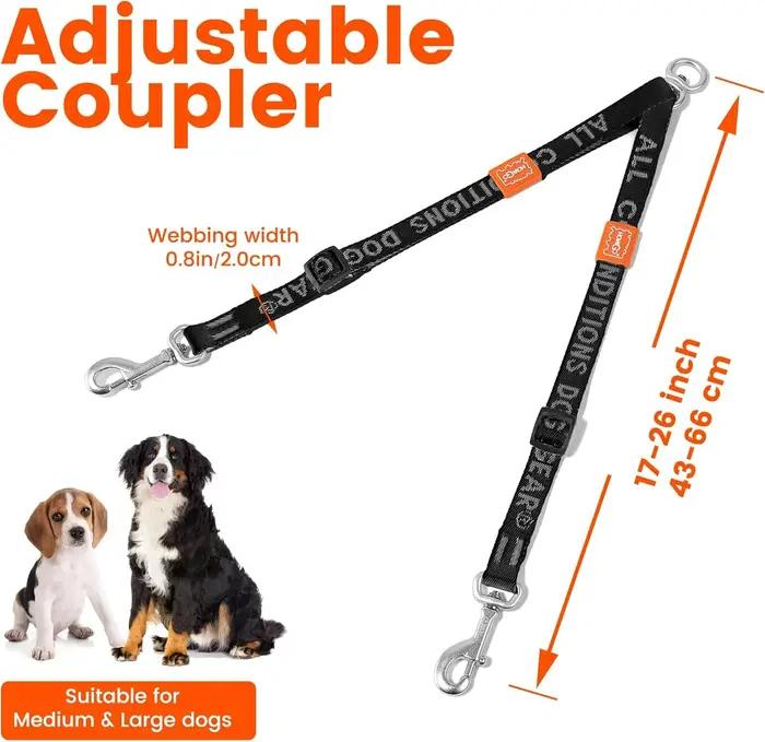 Attache double pour laisse de chien
