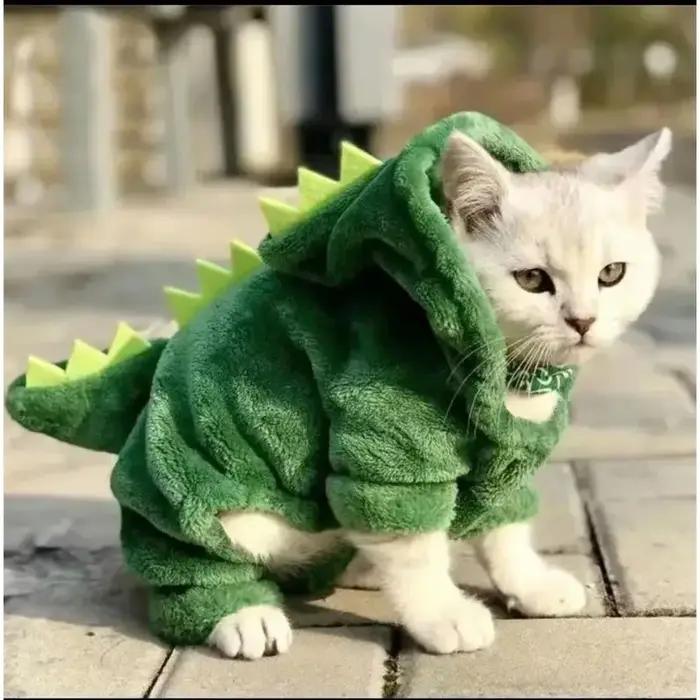 Costume d'halloween pour chien