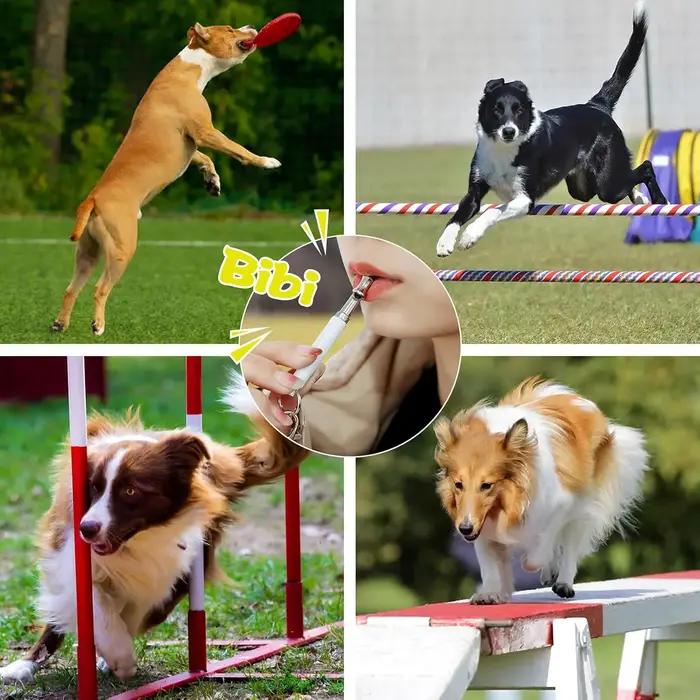 1 Pack Sifflet à ultrasons silencieux réglable pour chien