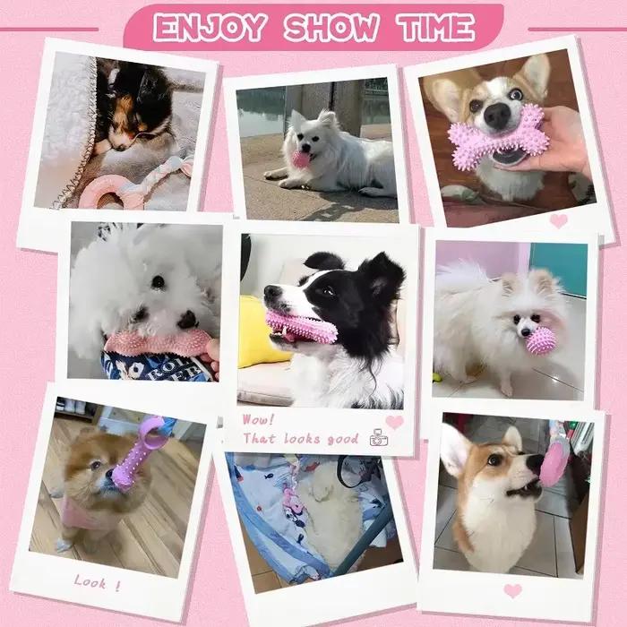 Jouets à mâcher pour chiens en caoutchouc souple rose et autres couleurs pour nettoyer les dents et favoriser le jeu interagissant avec des friandises pour petits et moyens chiens occasions spéciales