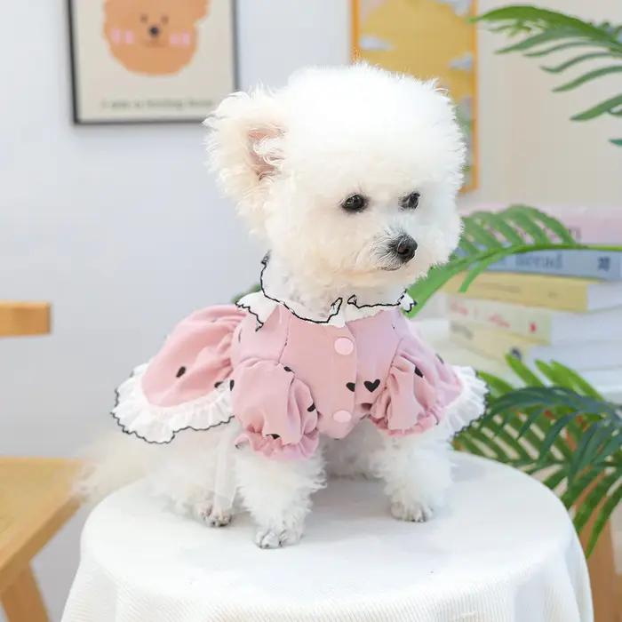 Robe en dentelle romantique et douce pour chien de printemps et d'été en rose et blanc pour promenades et événements spéciaux