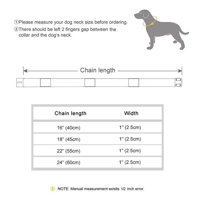 Collier de chaîne pour chien en or avec chaîne à Double rangée robuste