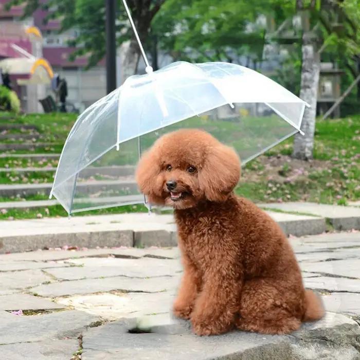 Nouvelle laisse parapluie pour animaux de compagnie