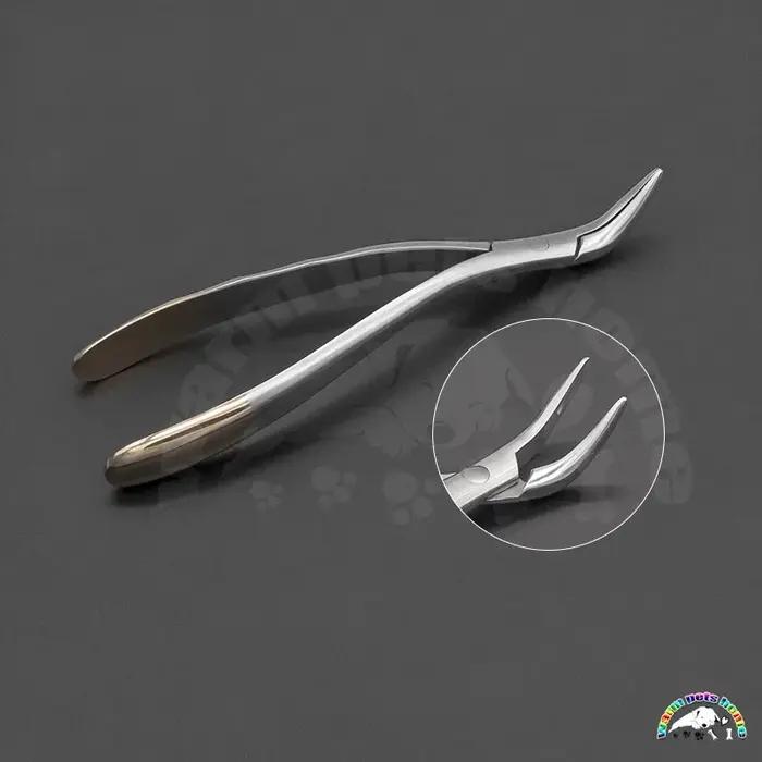 Pince d'extraction dentaire pour chien et chat, outil médical pour hygiène bucco-dentaire, kit de soins vétérinaires pour animaux de compagnie