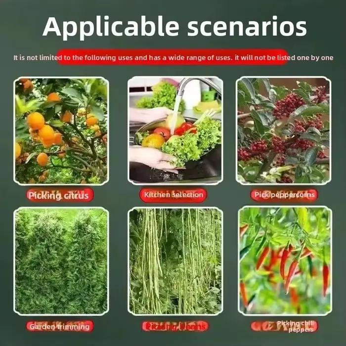 Ciseaux de cueillette agricoles - Outil spécial pour la récolte de légumes