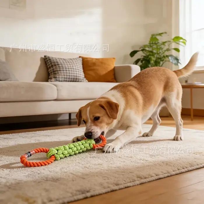 Jouet pour chien en corde de coton à double anneau