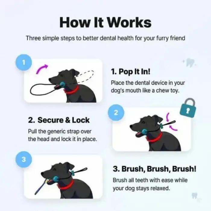 Jouet de brossage dentaire pour chien avec ventouse et corde de traction