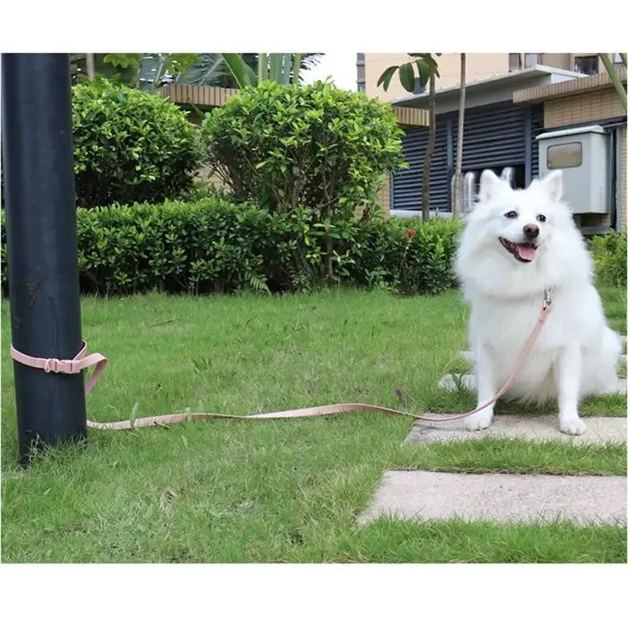 Ensemble de laisse de collier de chien réglable, sangle élastique, colliers pour animaux de compagnie en PVC imperméables, Combo boucle à dégagement rapide, laisses de chien souples lavables