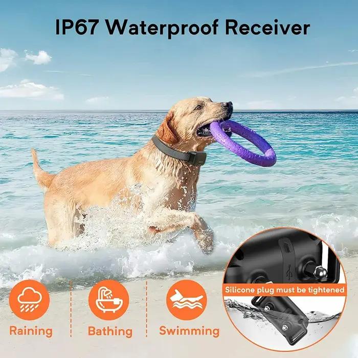Collier de dressage pour chien avec télécommande