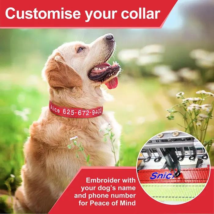 Collier personnalisé en nylon réfléchissant pour chiens et chats, nom et numéro de téléphone, sécurité pour petites et grandes races, collier brodé pour animaux de compagnie
