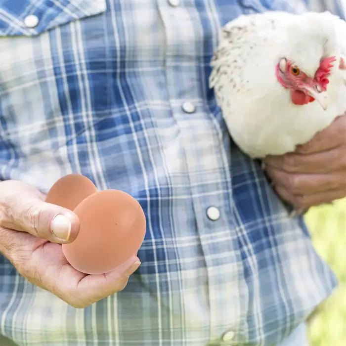 6/12 PIÈCES Œufs d'incubation de poule de Pâques, fausse reproduction de volailles, œufs artificiels en plastique, œufs à peindre soi-même, jouets éducatifs