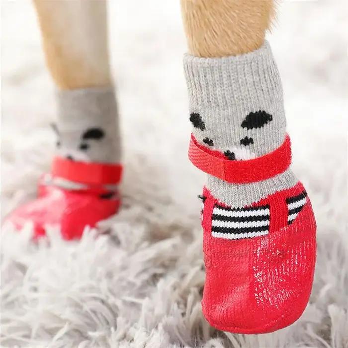 Chien chat bottes chaussures chaussettes imperméable