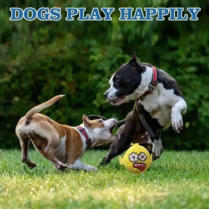 Boule sonore drôle pour chien de compagnie – Jouet