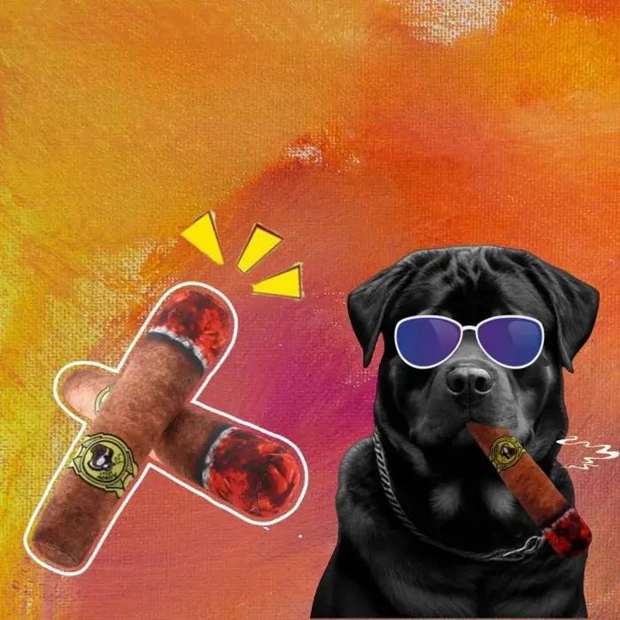Jouet de morsure de chien