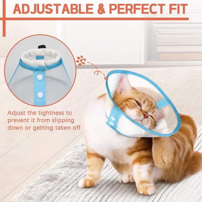 Un collier élisabéthain pour animaux de compagnie