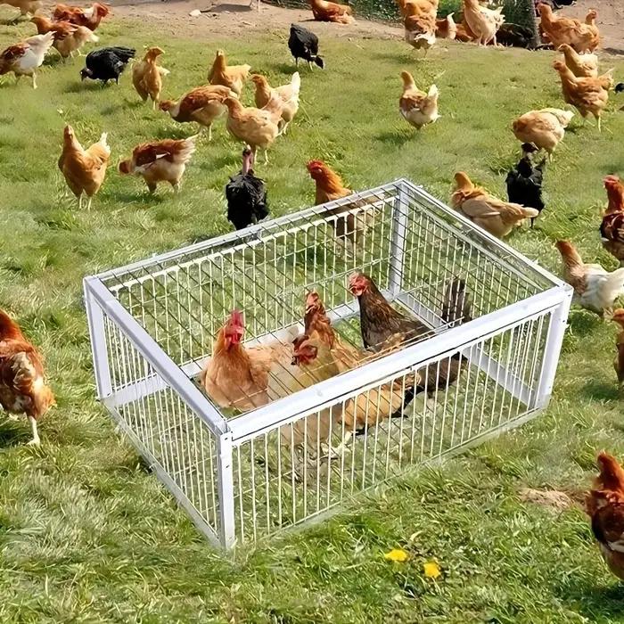Piège à cage automatique robuste pour pigeons